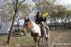 广州石壁周边拓展团建训练