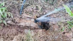 地埋消防管漏水检测，供水探漏抢修
