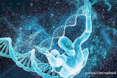 美国试管婴儿备孕指南：从身体到心理的调养方法