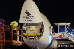 广州泛亚国际新加坡空派专线