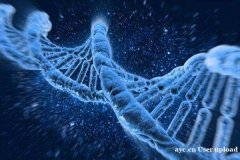 五方面告诉您如何提高卵子质量