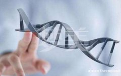 美国试管婴儿三种促排方案的特别之处您应该知晓