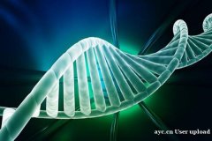 癌症至女性生育能力下降，赴美试管如何保存