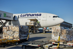 斯里兰卡空海运物流专线