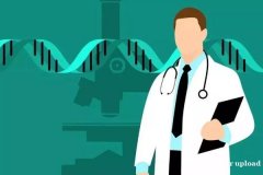 了解囊胚移植后可能出现正常反应和不良反应很重要