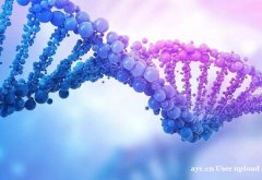 “内外兼具”，美国HRC于众多IVF医院中脱颖而出