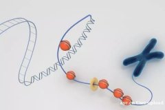 试管周期中，哪些检查项目可知晓女性的生育能力状态?