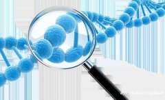 提高美国试管婴儿成功率 HRC3项IVF操作突破常规