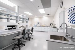 广州实验室家具 实验室设计规划 广州实验室装修装饰 广州实验室家具 实验室设计规划 广州实验室装修装饰