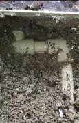 广州水管漏水检测，室外漏水检测，室内漏水检测