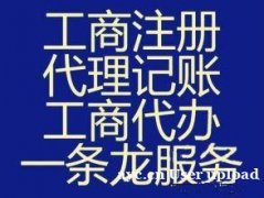 记账报税代理汇算清缴服务内资小规模记账等