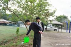 广州荔湾三月妇女节植树户外活动好去处