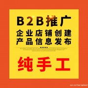 代发B2B平台-B2B信息代发-宁梦网络