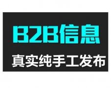 代发B2B信息-B2B广告代发平台-宁梦网络