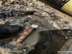 广州暗装水管漏水检测，供水管/消防管暗漏检测