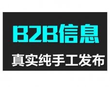 代发b2b产品信息-代发B2B广告-宁梦网络