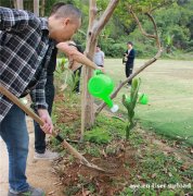 荔湾区附近清明学生研学之旅