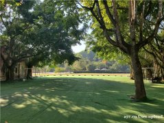 荔湾区清明踏青与孩子共绘春天的色彩