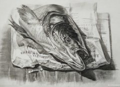 哪里可以零基础学画画？初学者入门班