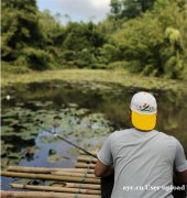 番禺区周边探索广州帽峰山生态园的宁静时光