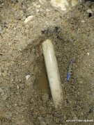 广州房屋生活水管漏水检测，精装房暗管漏水检测