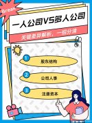 一人有限公司与多人有限公司：关键差异解析