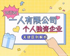 一人有限公司VS个人独资企业：关键区别解析