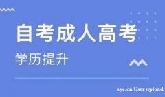 武汉科技大学本科学历计算机科学与技术自考专升本
