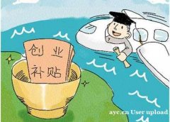 2024年初创企业的补贴有哪些? 2024年初创企业的补贴有哪些?