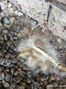 广州暗管测漏，暗管维修，暗管走向探测