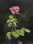 广州美术培训哪里好？油画班