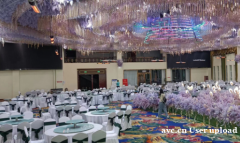 伟而特红外供暖：为高端宴会场所带来温暖与舒适