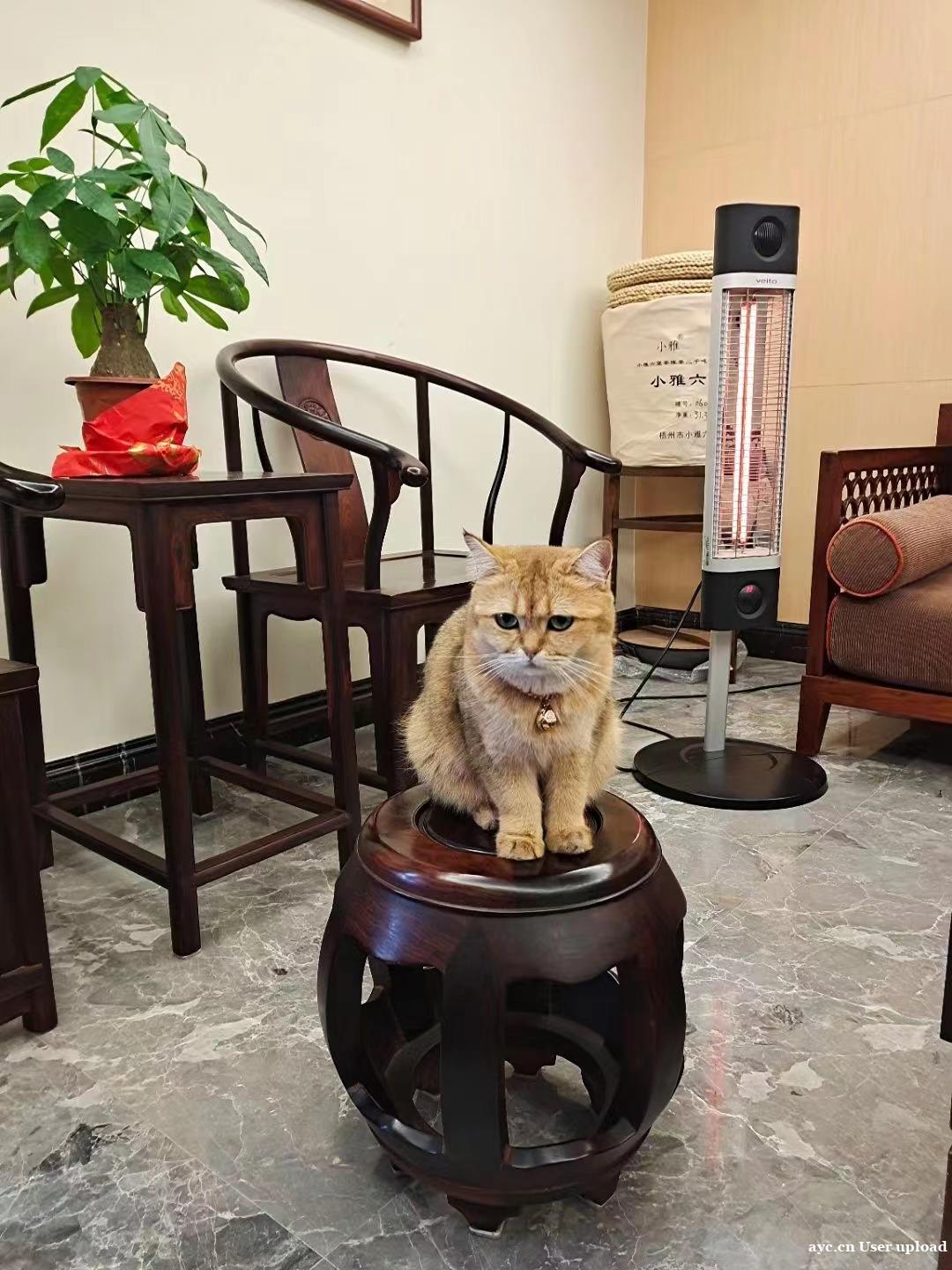 伟而特红外供暖:真正解决了家庭节能难题 伟而特红外供暖:真正解决了家庭节能难题