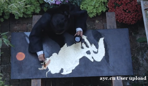 时隔三年,李子柒账号为什么还是这么成功 时隔三年,李子柒账号为什么还是这么成功