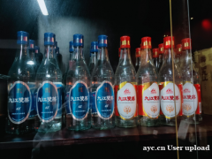 九江双蒸酒：双蒸工艺，醇香传承的广东佳酿