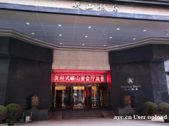 伟而特真正解决酒店入门取暖难题