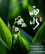 雨水节气与九江双蒸：岭南佳酿的温润情怀