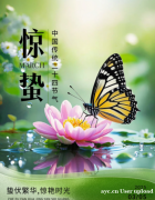 九江双蒸与惊蛰：时光之酿，春意盎然