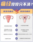 痛经不是小事，科学应对是关键！