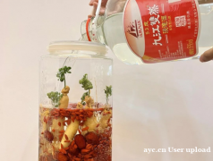 九江双蒸浸泡酒：岭南本草与时光共酿的味觉艺术
