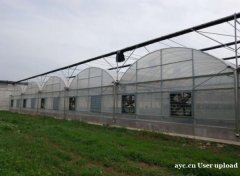 塑料大棚厂家 智博农业科技 质量放心 物超所值