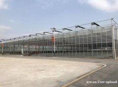 玻璃温室大棚 厂家直销 质量保障 智博农业科技