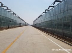 玻璃温室大棚 厂家直销 质量保障 智博农业科技