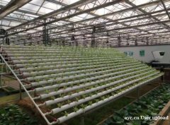 养殖大棚骨架 专业厂家 品质保障 智博农业科技
