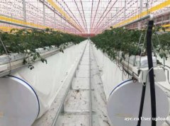 养殖大棚骨架 专业厂家 品质保障 智博农业科技