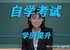 北京2025年自考本科数字媒体艺术专业招生简章