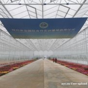 新式温室大棚 源头厂家 品质可靠 智博农业科技