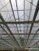 种植大棚 专业大棚建造 质量保证 智博农业科技