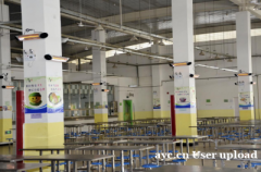 伟而特红外供暖助力新疆学校食堂破解高寒地区供暖难题