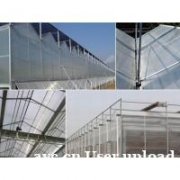 阳光板温室大棚 专业建造 质量保证 智博农业科技